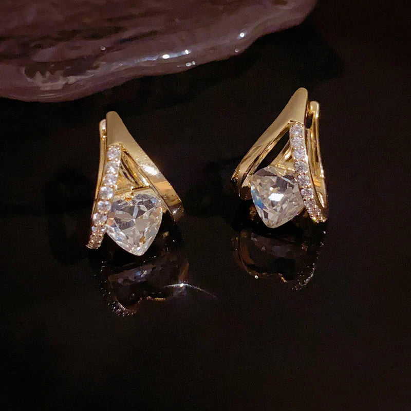 🎁 Ringmiz Lymphatic MagneTherapy Germanium Earrings