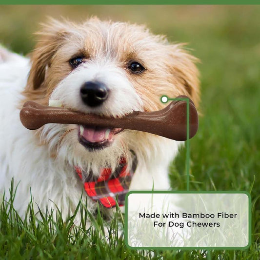🌸Up to 60% OFF🔥Dog Teething Bones