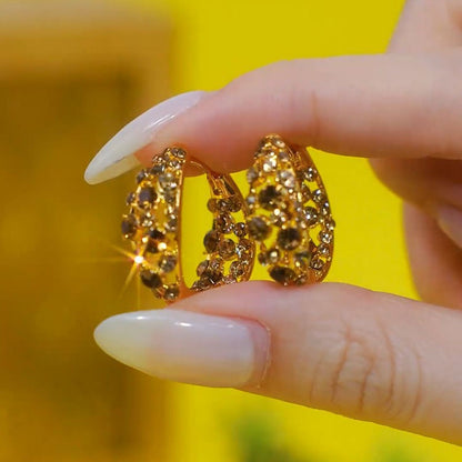 （Limited Time Discount 🔥 Last Day）RINGMIZ Lymphatic Zircon earrings
