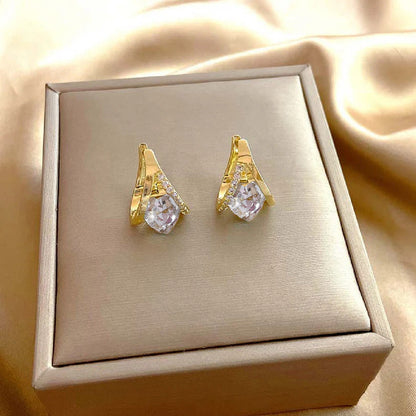 🎁 Ringmiz Lymphatic MagneTherapy Germanium Earrings